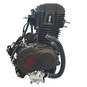 DAYANG CG300 Complete Motorcycle with Water Class Electric/kick Method and 1 Cylinder