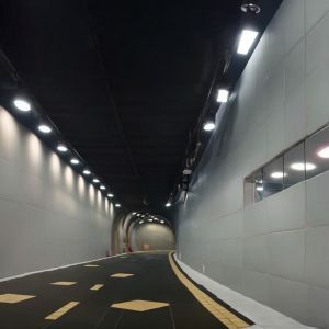 Versatile Adaptable Vitreous Enamel Panels For Diverse Environments