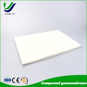 China HDPE Compound Geotechnical Membrane For Anti Seepage on sale