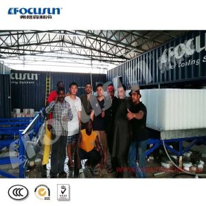 1T 2T 3T 5T 10T 15T 18T Containerized Block Ice Plant With Imported Compressor