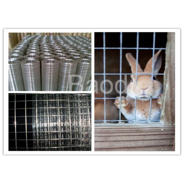 Buy Electro Welded Galvanized Steel Hardware Cloth For Rabbit Animal Fence at wholesale prices
