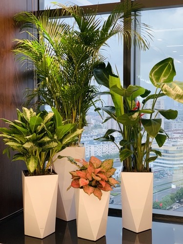 Round Fiberglass Planter Pots Handmade For Outdoor Garden Decorative