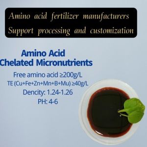 Amino Acid Chelated Micronutrients Compound Amino Acid Agricultural Fertilizers