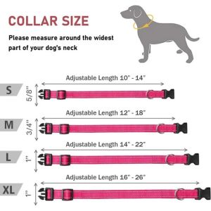 Premium Reflective Dog Collar - Adjustable Safety Nylon Collar for All Dog
