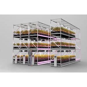 Hydroponic Rack System Vertical Farming Racks Electrostatic Powder Coating