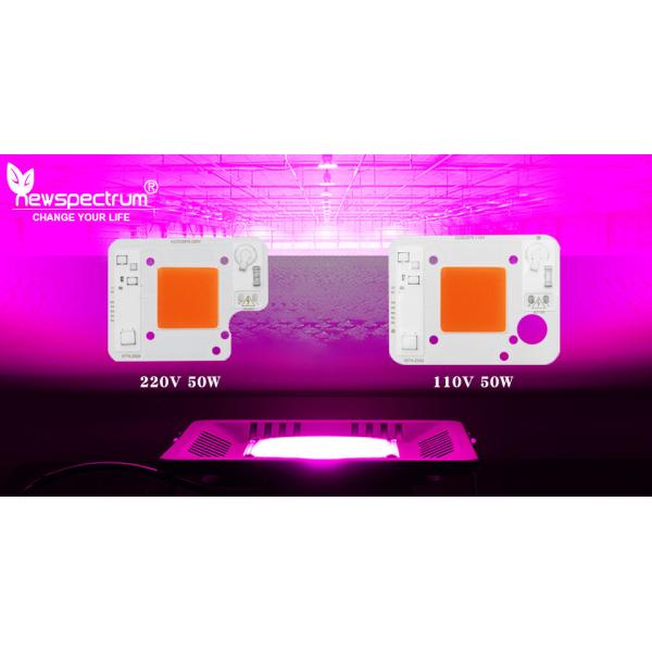 3000lm COB LED Module COB Chip 50Watt 6000K For Commercial Lighting Solutions