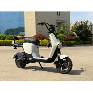 L1-D 350W Electric Two-Wheeler