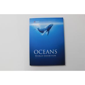 4G memory Video Invitation Card with TFT screen , 7inch / 10.1 inch video