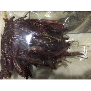 China High Fruitiness Erjingtiao Dried Chilis For Chili Oils Ingredients on sale