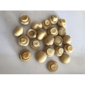 184g 425g 2840g Canned Button Mushrooms Canned Whole Mushrooms