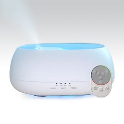 HOMEFISH Drop Shipping Electric Mini Humidifier Ultrasonic Aroma Humidifier