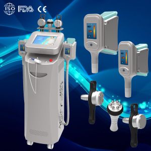China cryolipolysis lipolaser machine cryolipolysis slimming machine on sale