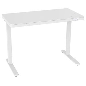 Quality 2023 Design Office Furniture Electric Adjustable Desk for Study DC Motor Dual Motor for sale