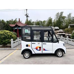 China White Handicap Electric Car Leisure Electric Handicap Vehicles 35km/H on sale