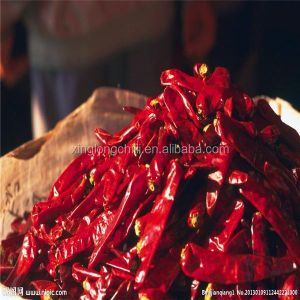 China Rich In Vitamin C Spicy Yidu Chili Perfect Taste  5000shu on sale