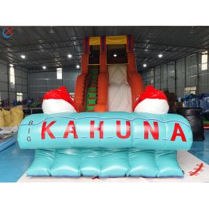 Factory Commercial Goldfish Inflatable Slide Inflatable Dry Slides For Outdoor