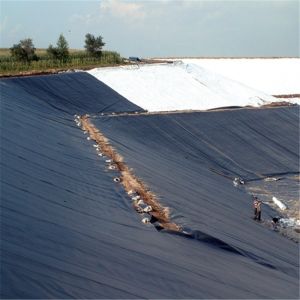 Waterproof Projects 0.5mm 3.0mm HDPE Geomembrane Liners with 100% Virgin