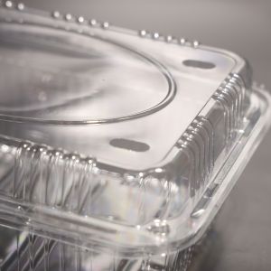 Customized Color Plastic Food Container PET Container With Lid For Freezer