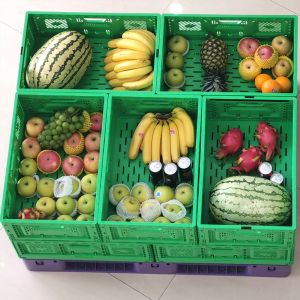 Convenient Farm Logistics Crate Fruits Vegetables Crate Foldable Internal