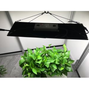 WiFi Controlled 10000lm AC100V LED Herb Grow Light