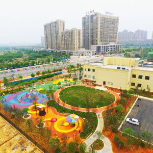 China professional outdoor playground equipment manufacturer