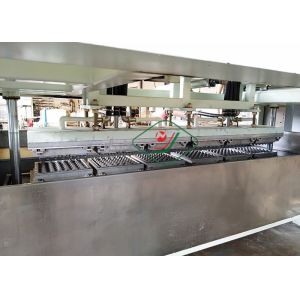Medium Capacity Recycle Paper Egg Tray Making Machine with Dryer