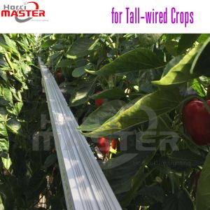 Double Sided LED Strips Grow Light 660nm Anodizing Artificial Light For Indoor