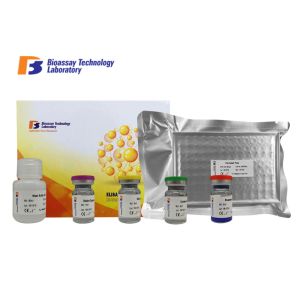 Quality High Specificity and Sensitivity Mouse Matrix Gla Protein ELISA Kit 96 Wells Customized for sale
