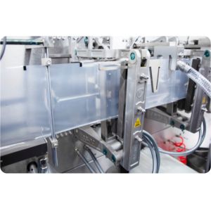 DXD-180DJ Automatic Horizontal Pouch Packing Machine