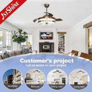 Decorative Retractable Ceiling Fan Light AC Motor Acrylic Blades