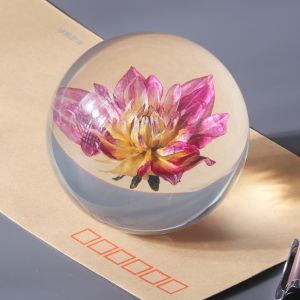 Fashion Crystal Ball Paperweight , Resin Dandelion Paperweight