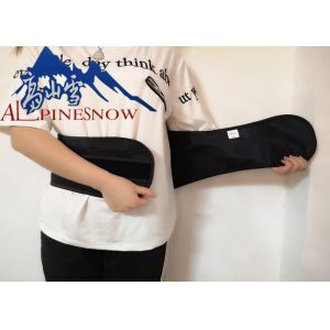 Adjustable Pulley Pull Rope Waist Back Support Belt With PVC Support Plate