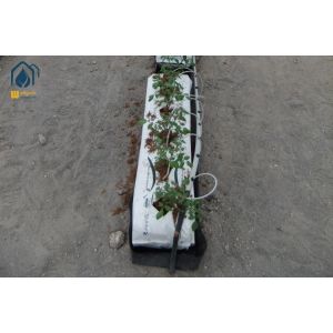 Quality Tomato Hydroponic PP Roll Vegetables Planting Gutter In Modern Farming for sale