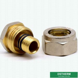Female Pipe Plug Threaded Coupling Fittings Compression Brass Fittings Screw
