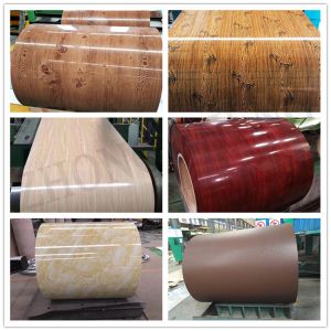 Customizable Thickness RALColor PPGI RAL 3019 PPGI/PPGL Steel Coil Color Coated