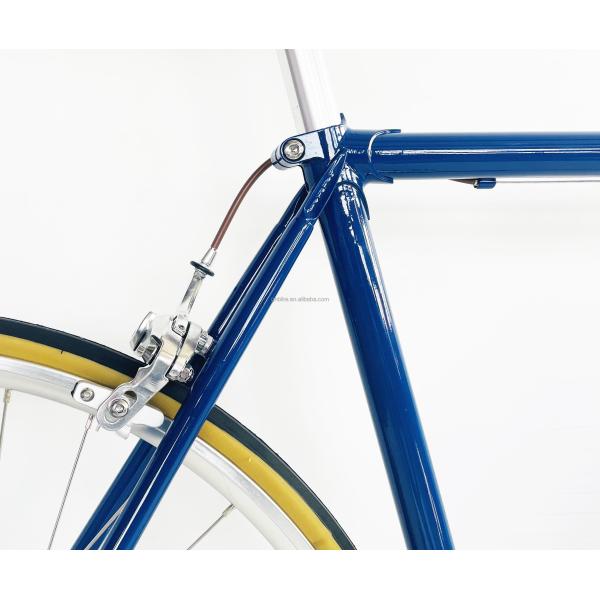 CR-MO STEEL 4130 Lugged Frame Fork for Vintage Inner SRAM 2S Track Fixie Gear Bicycle