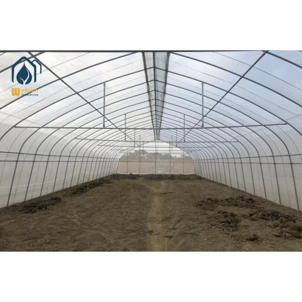 Farming Plastic Green House Metal Frame Structure Single Span High Tunnel