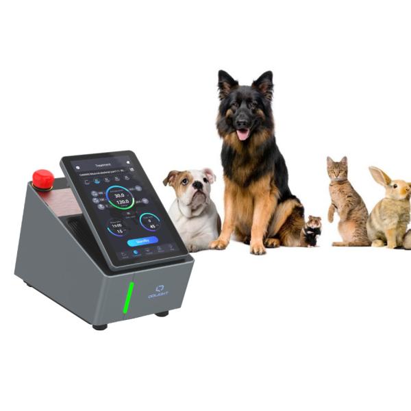 Buy 200mW Veterinary Laser Therapy Machine Neuromuscular Disease Treatment at wholesale prices