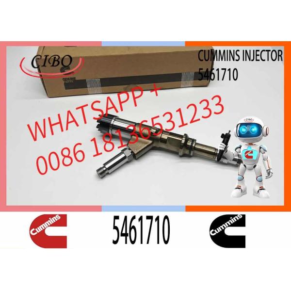 Diesel Fuel Injector Common Rail Fuel Injector 4307475 5461710 5572006 5491515 5491661 5491531 4384786