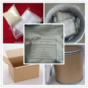 Direct manufacturer Dihydromyricetin Vine Tea Extract Powder