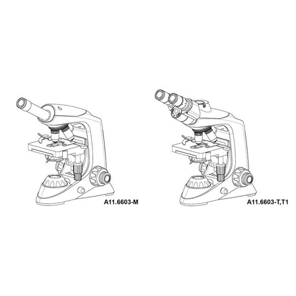 Achromatic OPTO-EDU A11.6603-M 1000x School Monocular Microscope