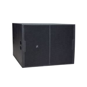 ARE AUDIO dual 10 inch passive outdoor line array speaker system with DSP