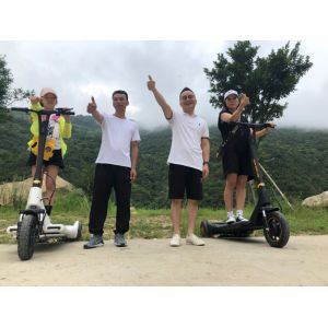 25km/H Electric Balance Scooter