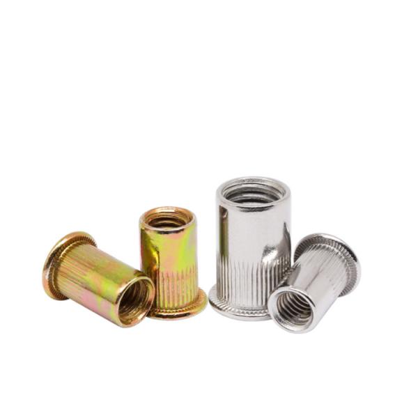 Steel/SUS304 Carbon Steel White/Yellow Zinc Plated Galvanized Flat Head Blind Rivet Nuts