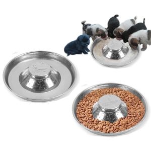 International Stainless Steel Puppy Bowls