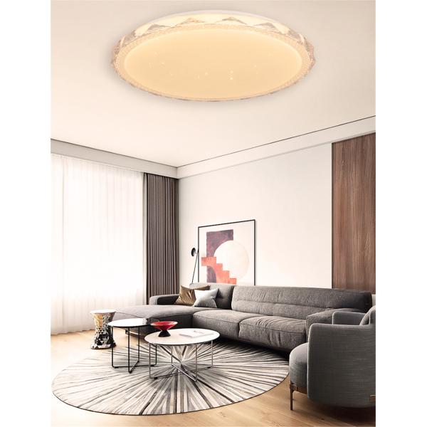 Gessiea LED Ceiling Lamp 36W