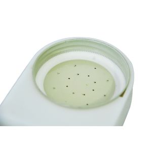 Apiculture Bee Entrance Feeder Plastic Boardman Entrance Feeder