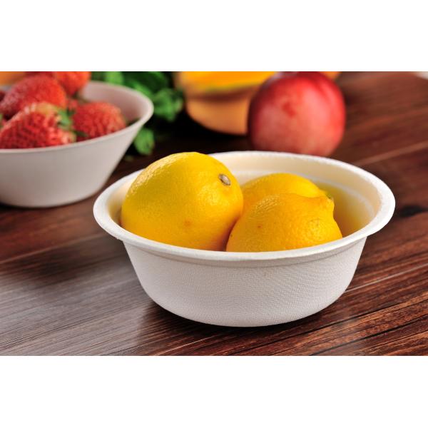 Buy Round Compostable Bagasse Bowls Biodegradable Disposable Sugarcane at wholesale prices