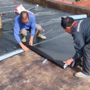 3mm 4mm Modified Bitumen Waterproof Sheet Membrane SBS APP Traditional
