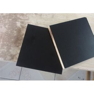 Anti - Slip Thin Black Film Faced Plywood With Successive Mechanical Treatment